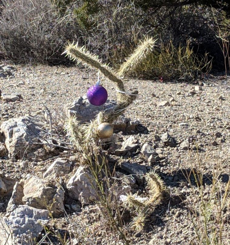 Christmas Tree Pass-拉芙琳必去景点