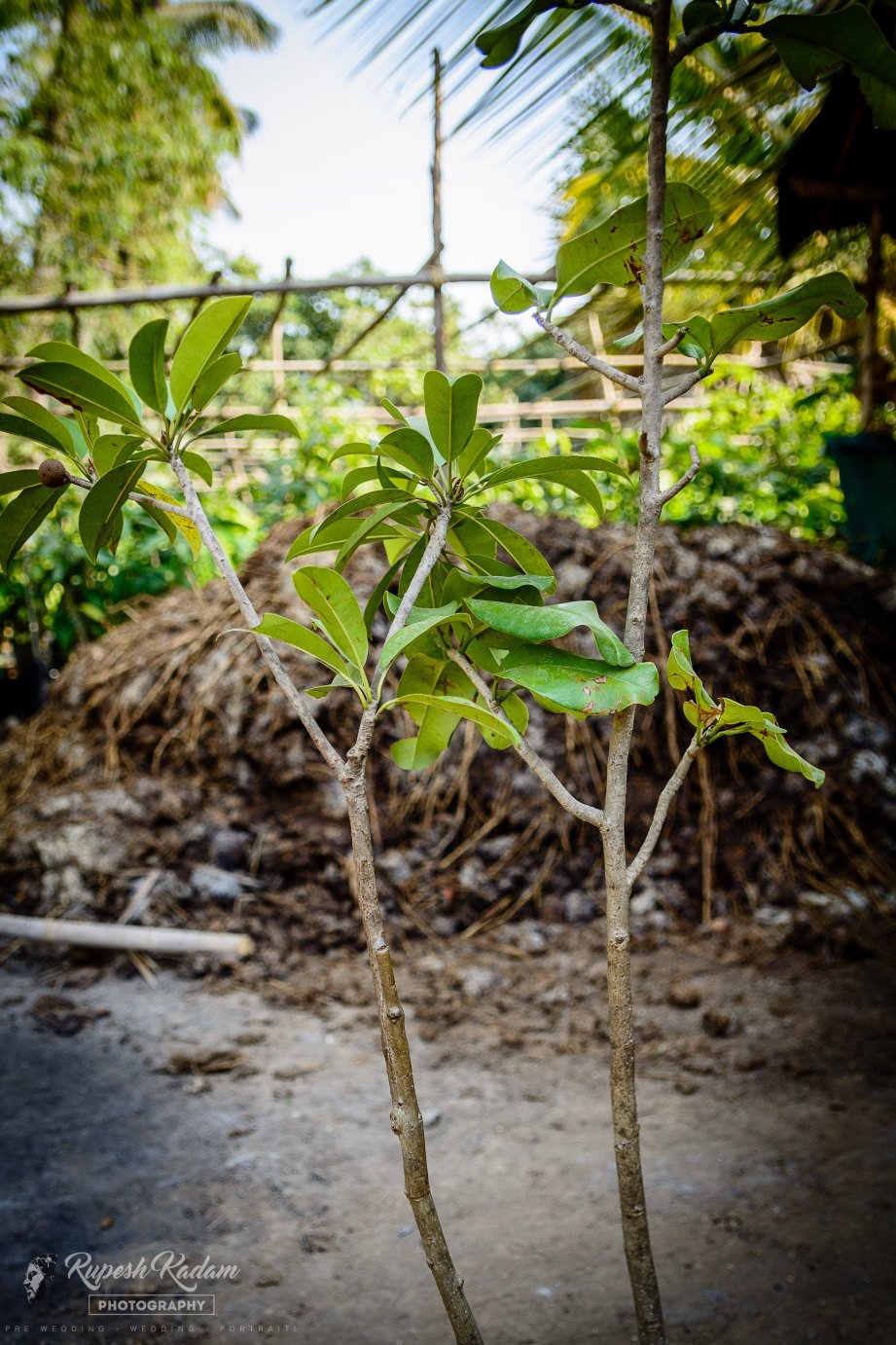 Save Farm-家庭/游戏区