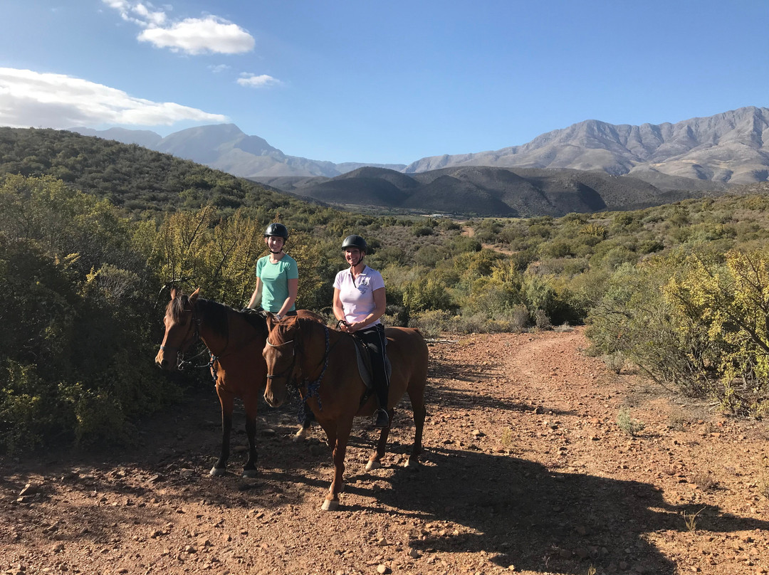 De Rust Horseriding - Klein Karoo Horse Adventures景点图片