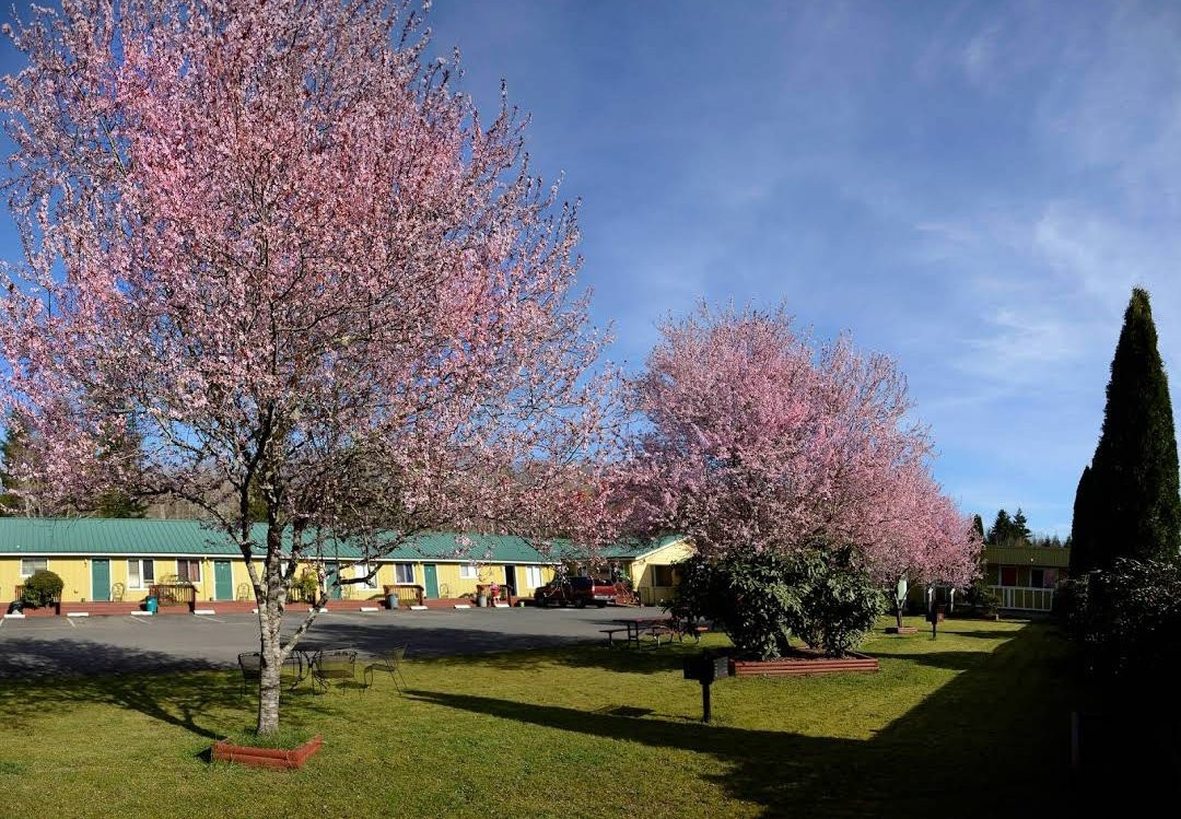 Lake Quinault Inn