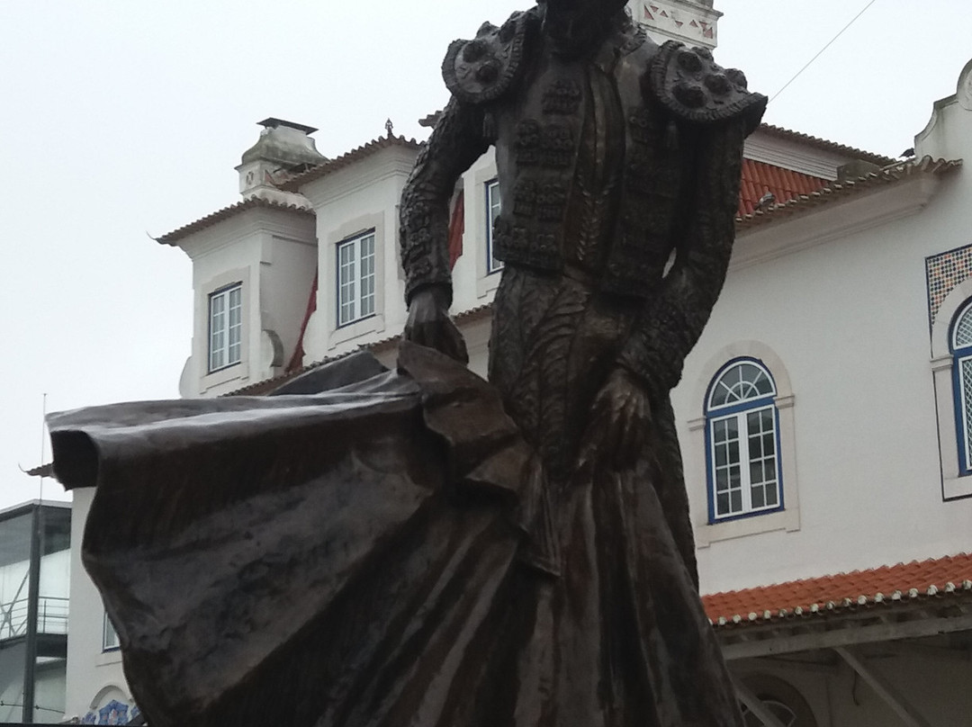 Monumento ao Toureiro景点图片