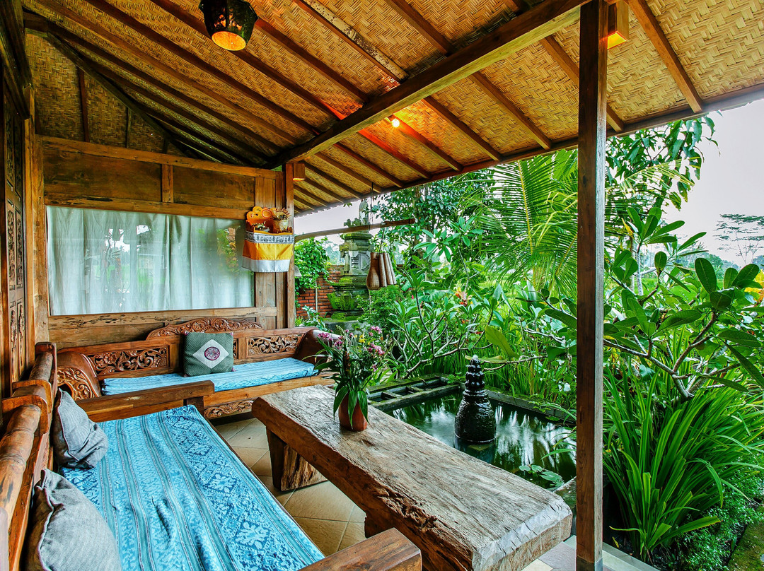 Swallow Guesthouse Bali主图