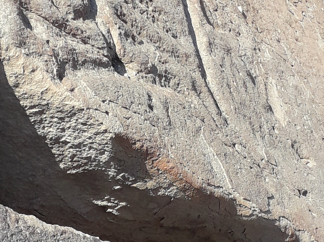 Petroglifos De Chichictara-Palpa必去景点