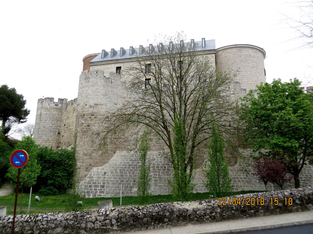 castillo de Simancas景点图片