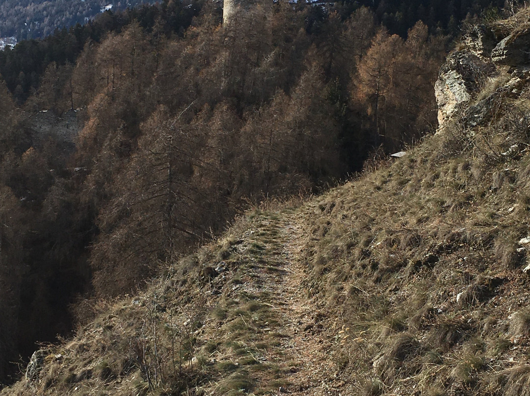 Rovina Rotund e Reichenberg-Tubre必去景点