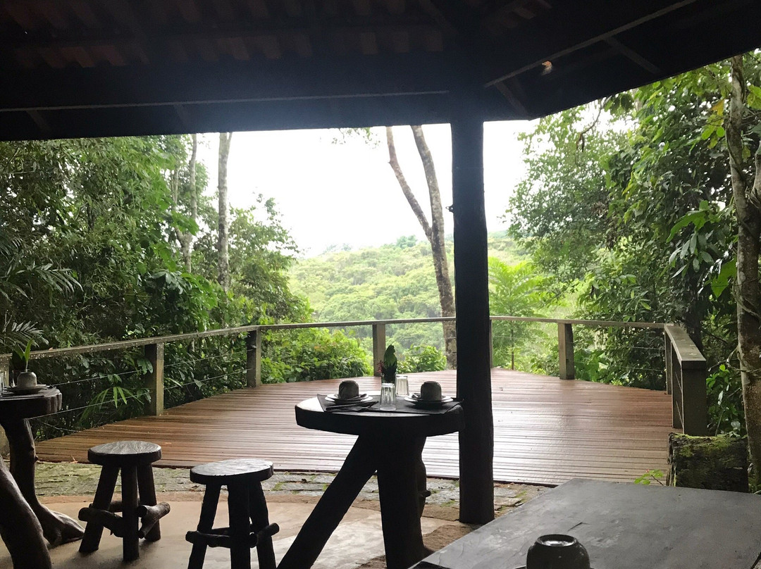 Cantos da Mata主图