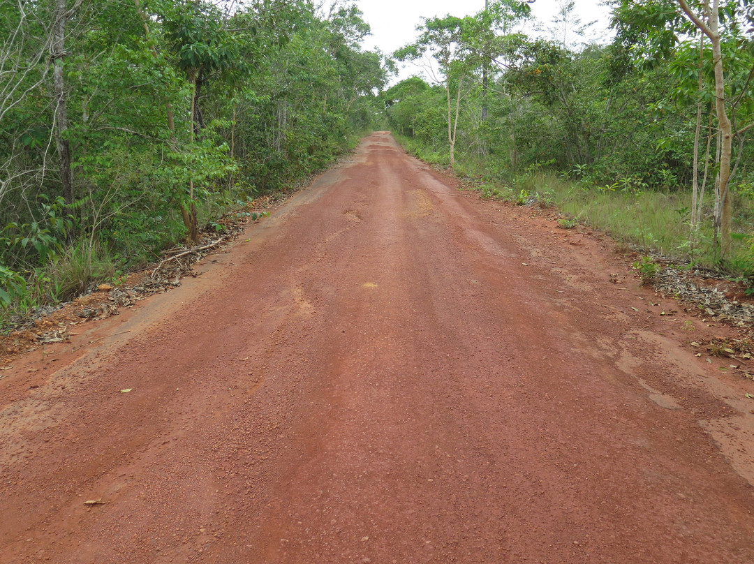 Serra Dos Parecis-Guajara-Mirim必去景点