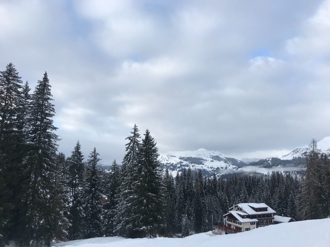 Bergrestaurant Schifer主图