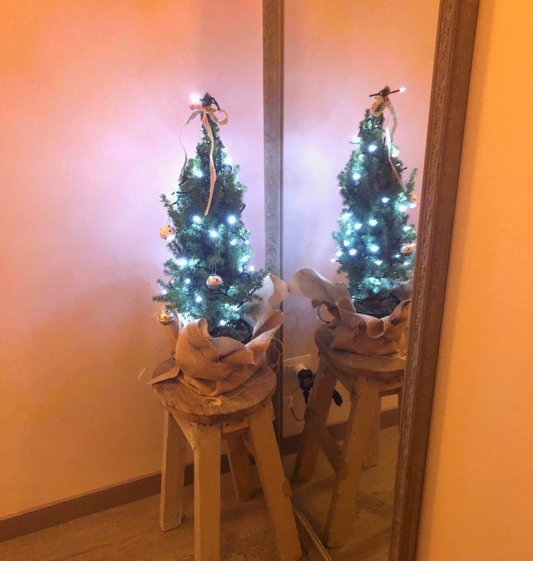 B&B Il Senesino主图