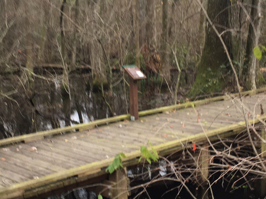LSU AgCenter Botanic Gardens-巴吞鲁日必去景点
