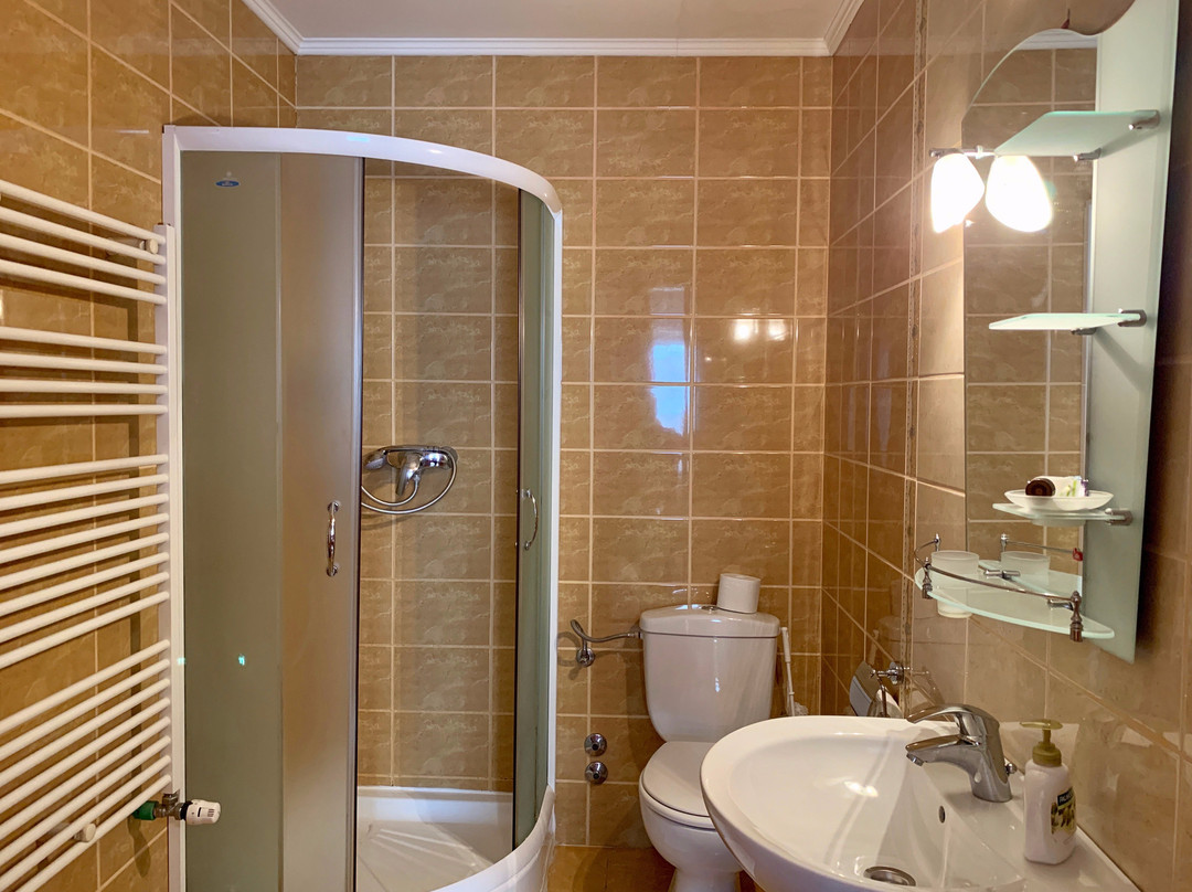 Pensiunea Confort主图