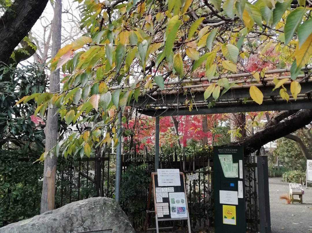 Makino Memorial Garden & Museum景点图片