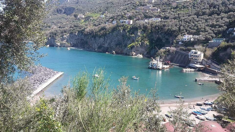 Scoglio Della Margherita-维克艾库塞必去景点