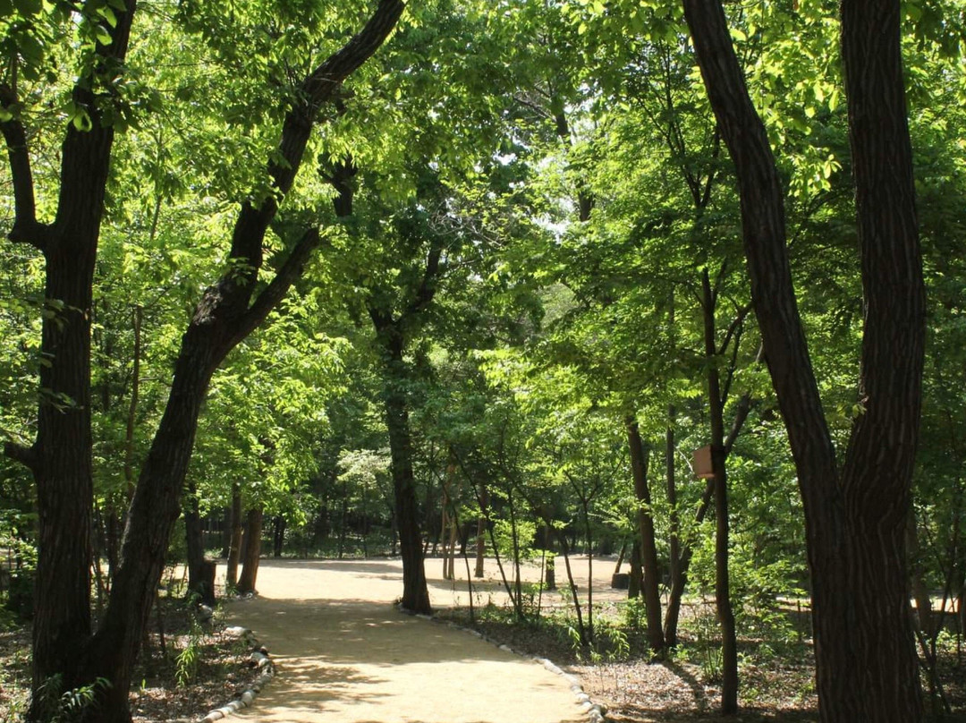 Santome Konjakumura-三芳町必去景点