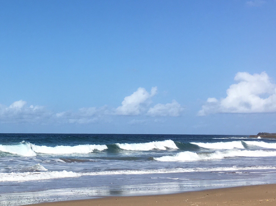 Playa Dos Roques景点图片