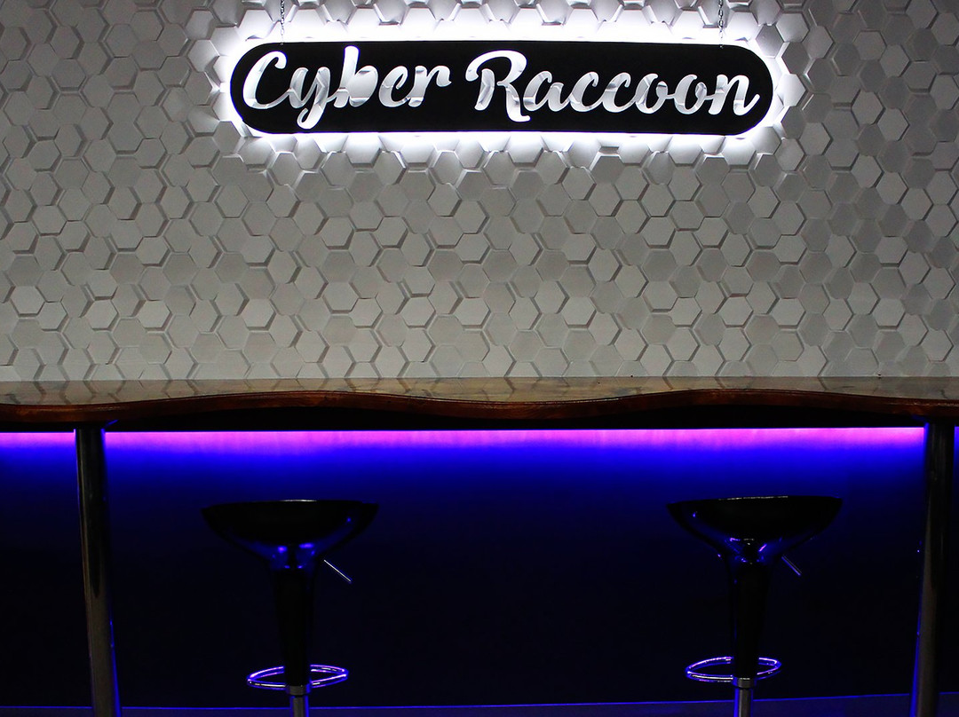 Cyber Raccoon Escape Room Fairfax DC景点图片