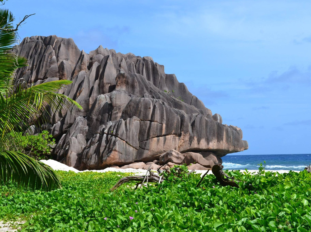 Anse Grosse Roche Beach景点图片