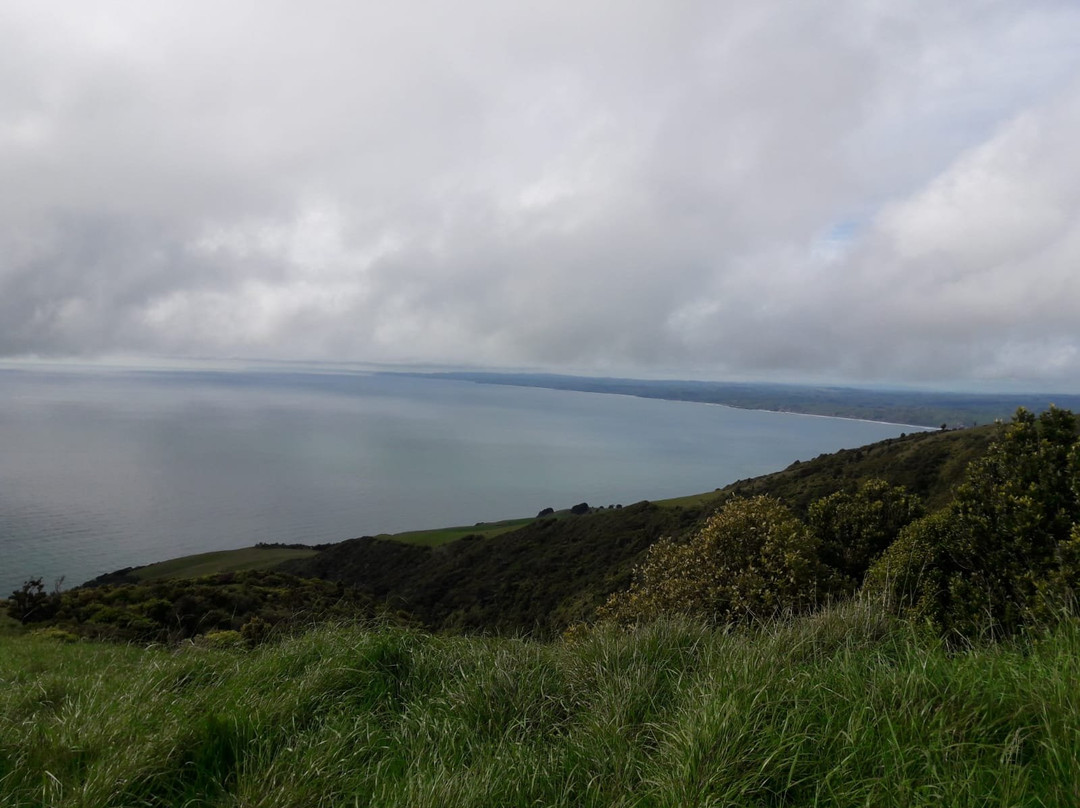Mount Karioi summit tracks景点图片
