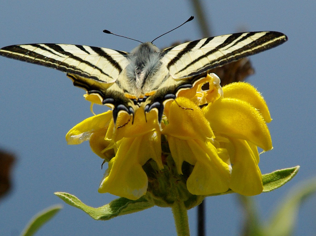 Greece on Foot-Tyros必去景点