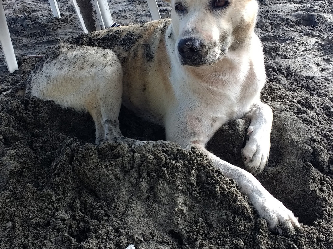 Hotel Magüipi主图