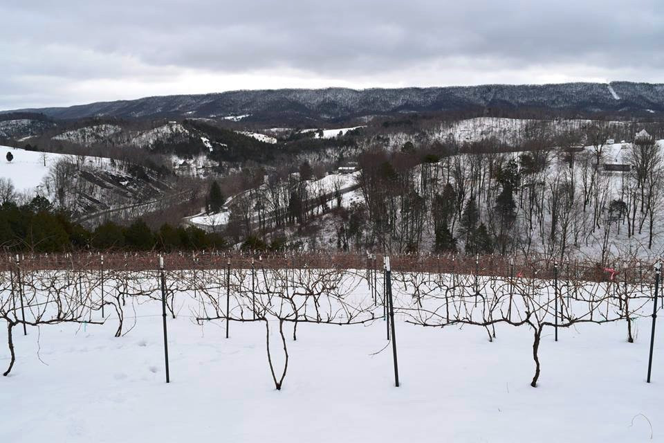 Giles Mountain Vineyard and Winery景点图片