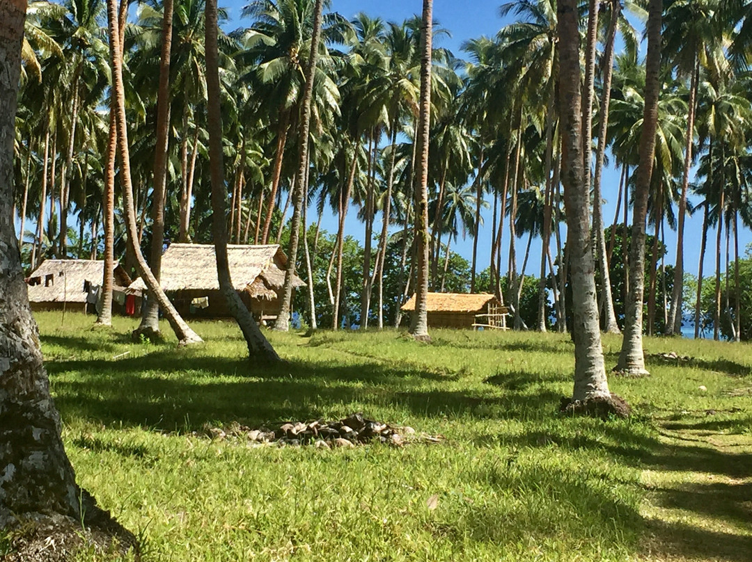 Makira Island景点图片