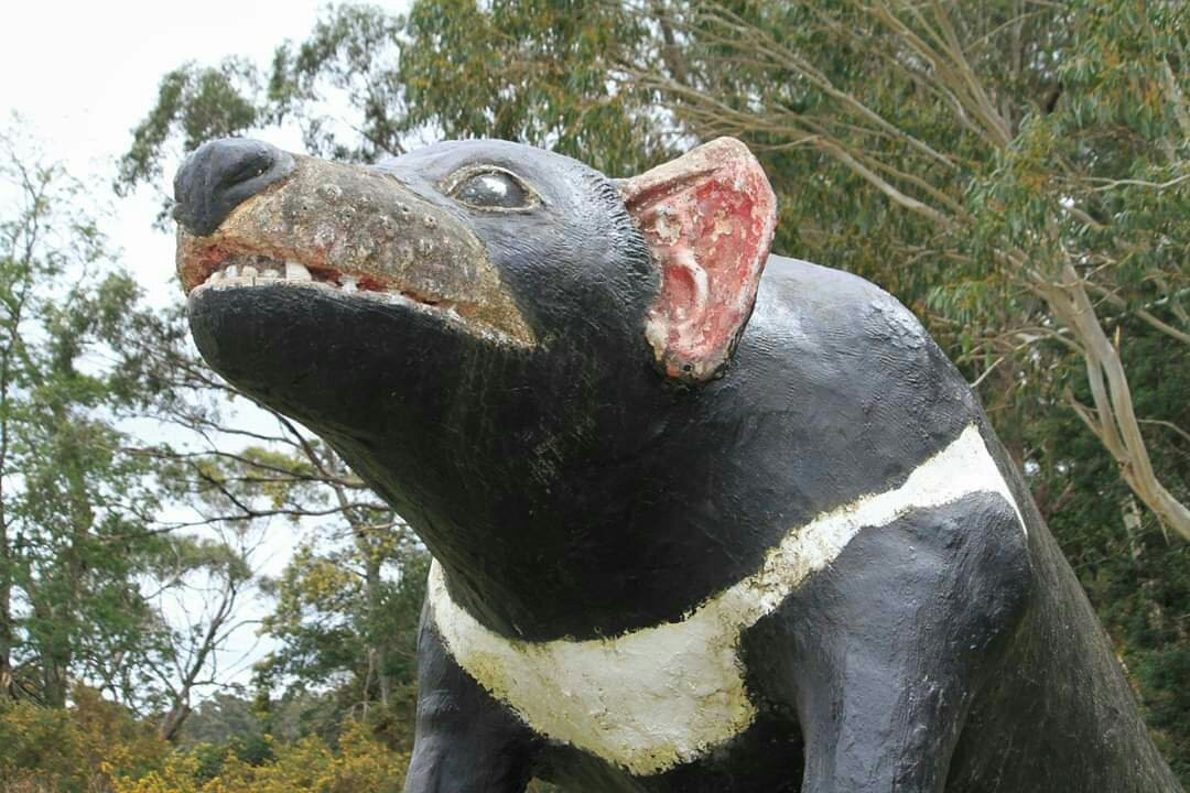 The Big Tasmanian Devil-茉莉溪必去景点