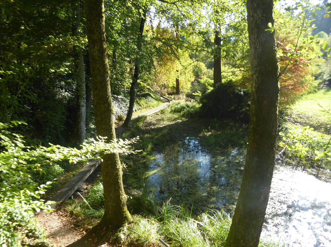 Botanischer Garten-Grüningen必去景点