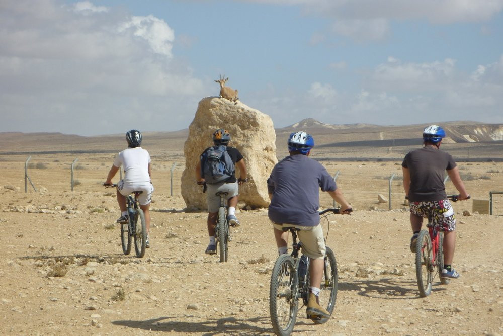 Negev4you-Midreshet Ben-Gurion必去景点