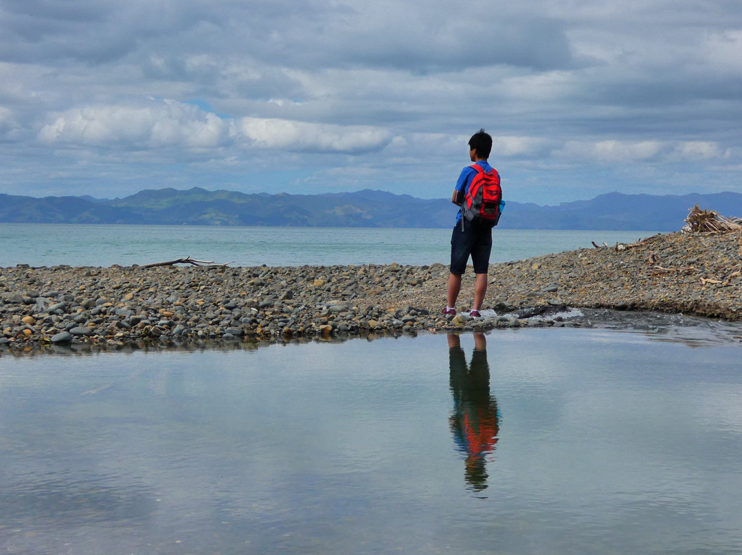 Tapapakanga Regional Park-Orere Point必去景点