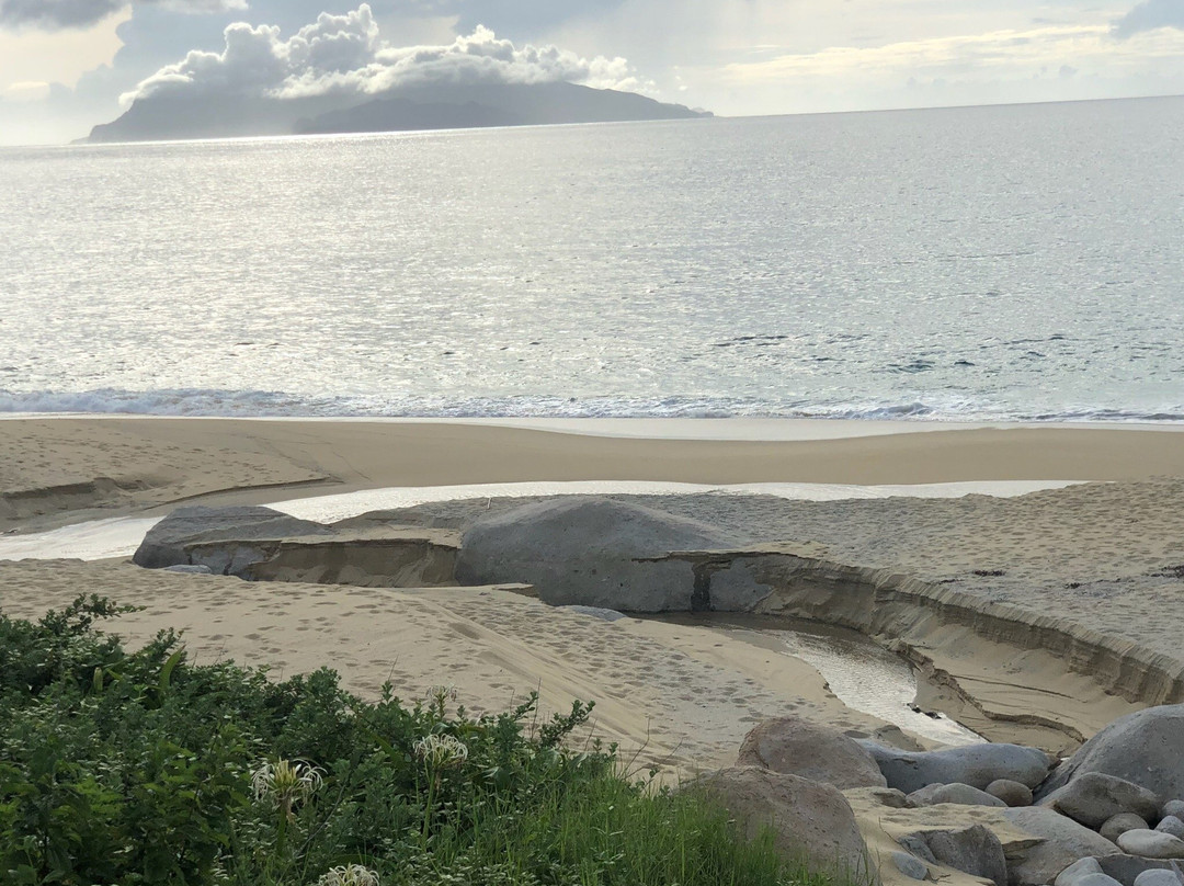 海龟出没 蓝色海洋屋久岛主图