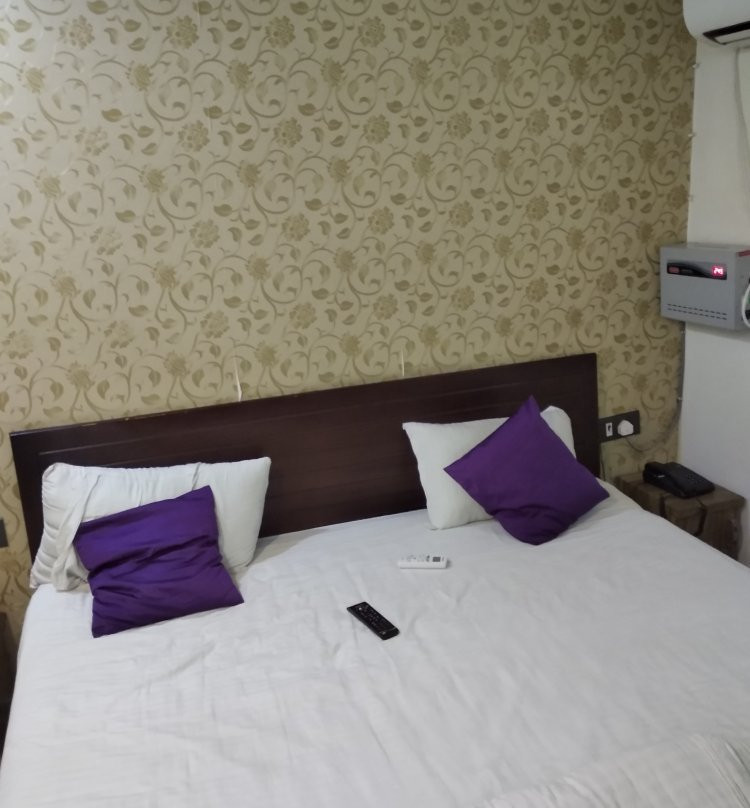 OYO 8961 Hotel RR Palace主图
