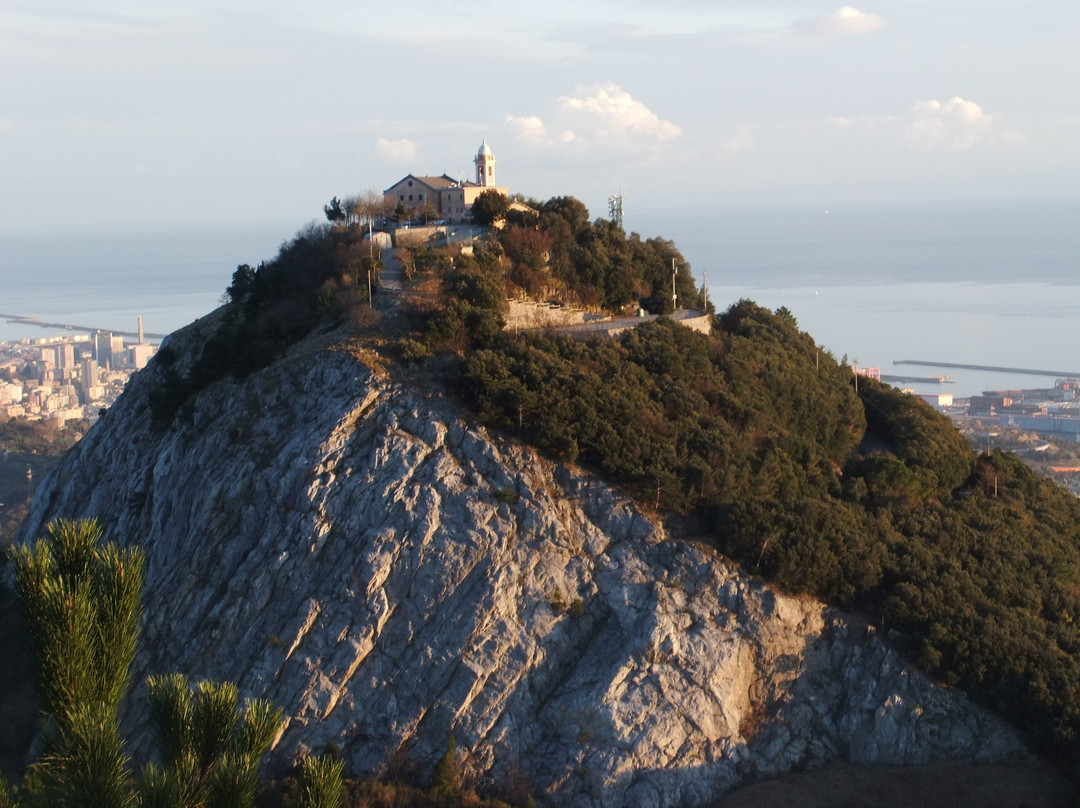 Santuario Nostra Signora del Gazzo景点图片