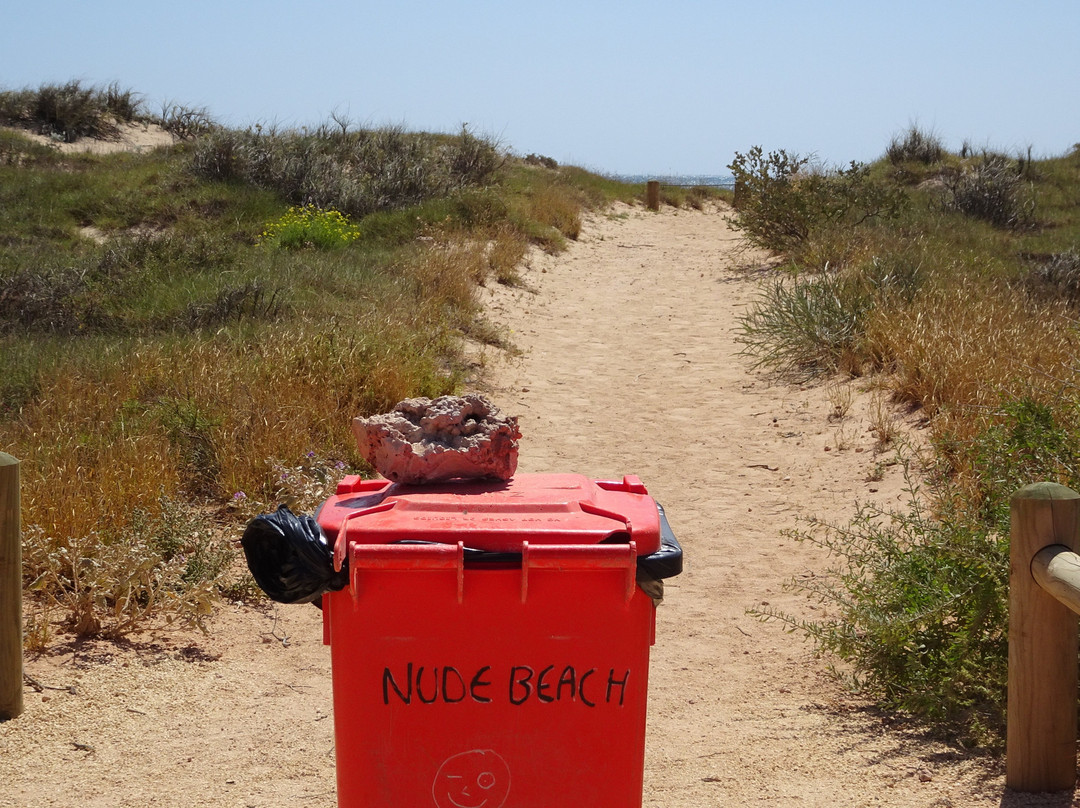 Mauritius Beach-埃克斯茅斯必去景点