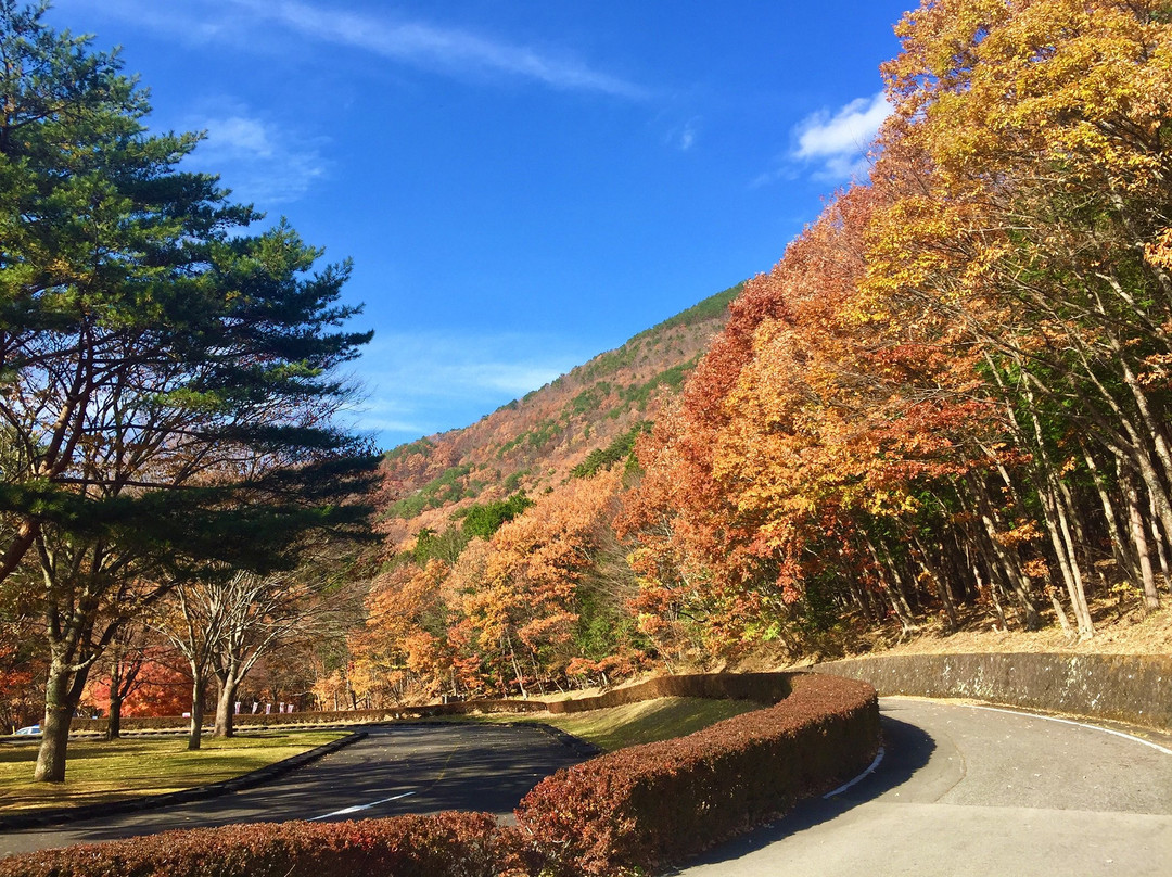 Hakonomori Play Park-那须盐原市必去景点