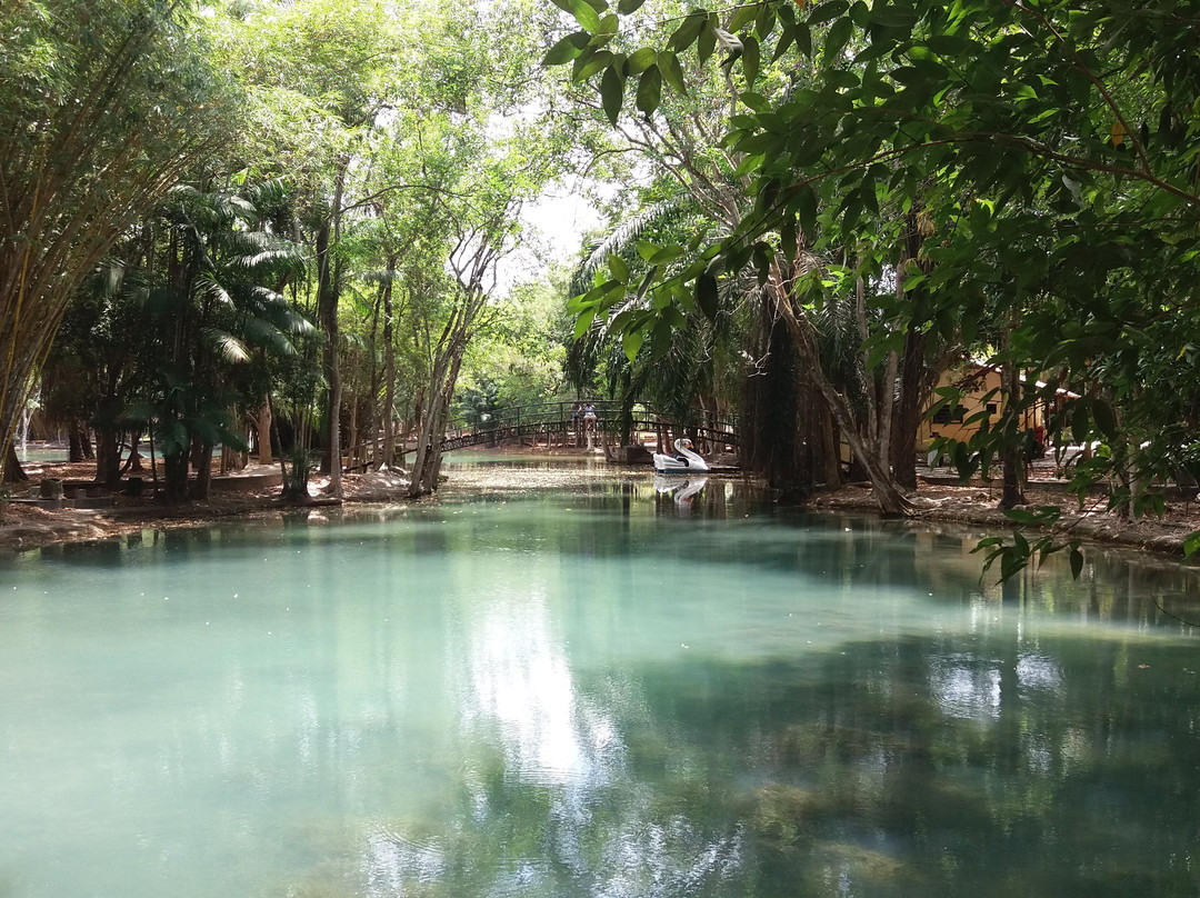 Parque Ambiental Municipal Adhemar Monteiro-Paragominas必去景点
