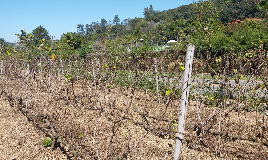 Adega e Cervejaria Galvao-容迪亚伊必去景点