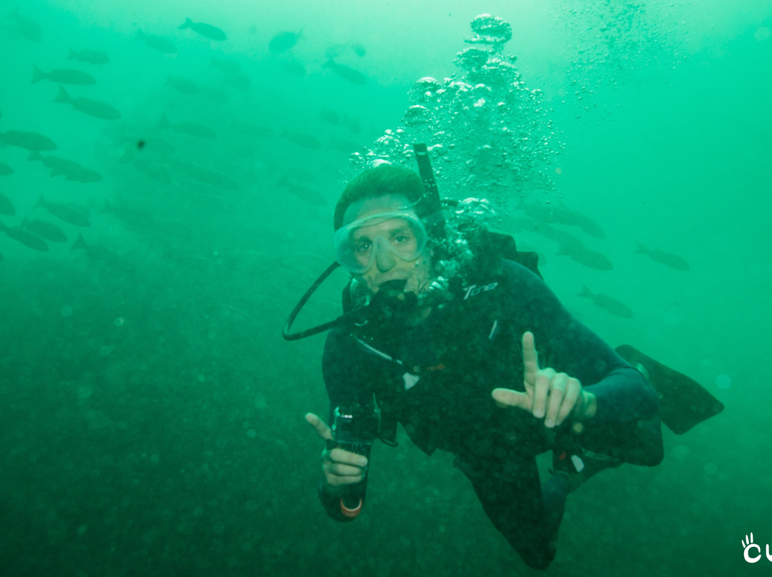 Colombia Underwater Expeditions-Arusi必去景点