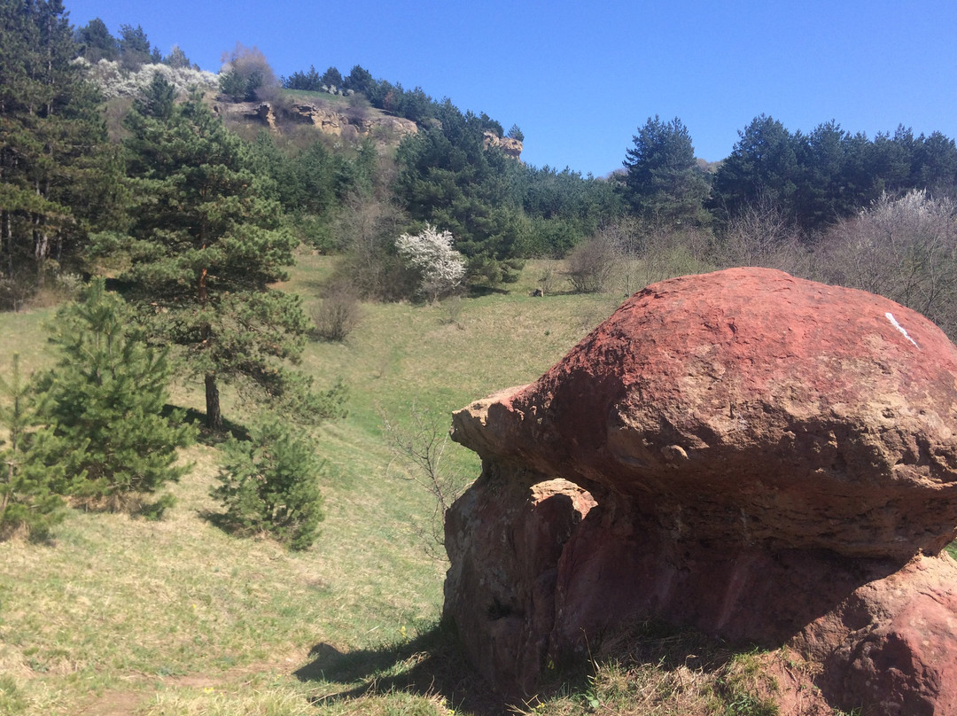 Red Giant Stone Mushrooms景点图片