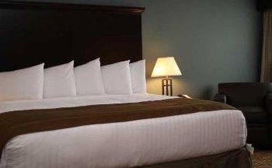 The Watford Hotel主图