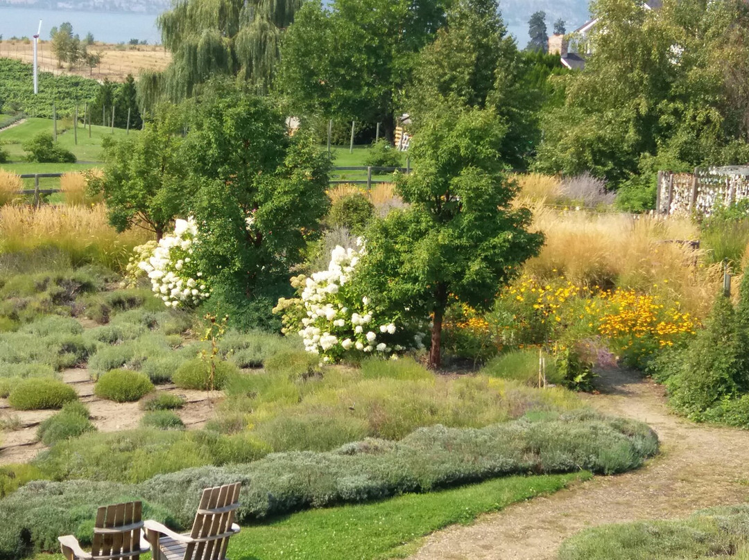 Okanagan Lavender & Herb Farm景点图片