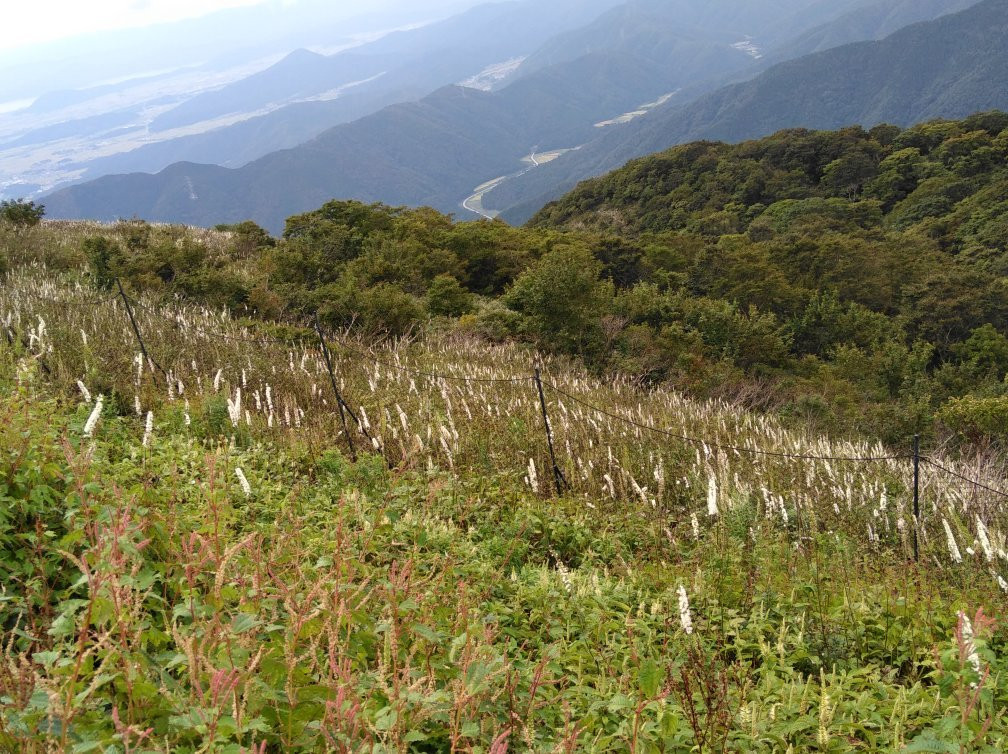 Mt. Ibuki景点图片