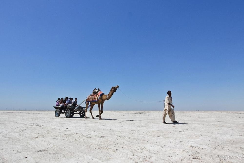 Nilkanth Travels景点图片