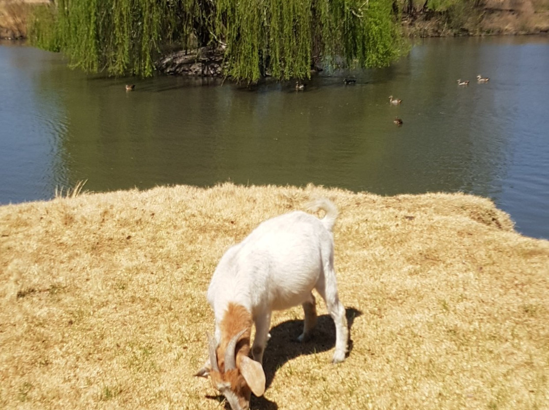 Bokkie Park景点图片