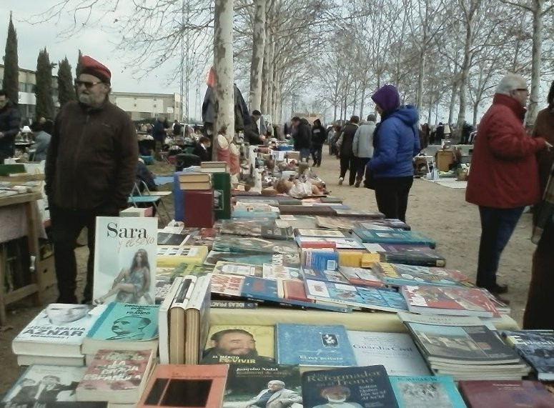 Mercat de Segona Ma, Brocante i Col-leccionisme de Celra景点图片