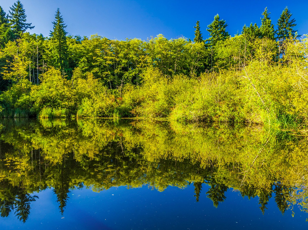 Scriber Lake Park-林伍德必去景点