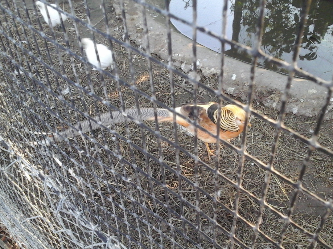 Shabanga Guest Farm主图