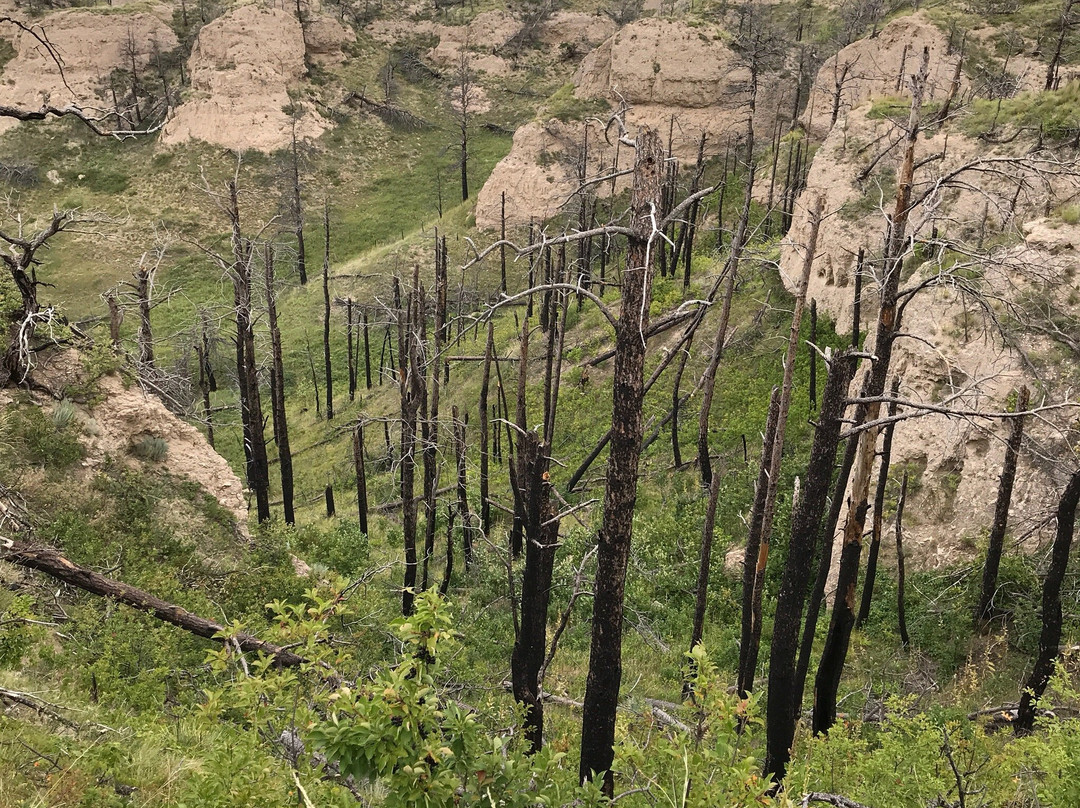 Chadron State Park-Chadron必去景点