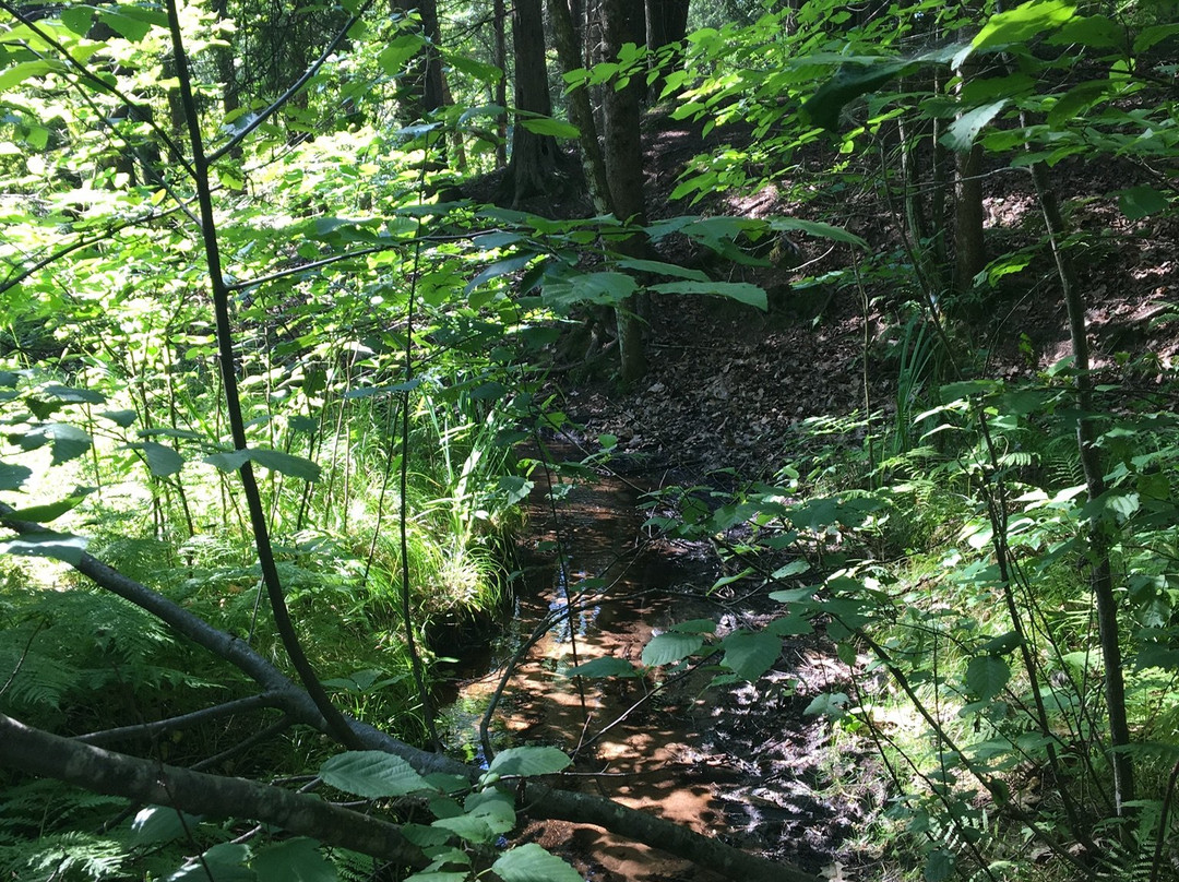 Chute Park Campground