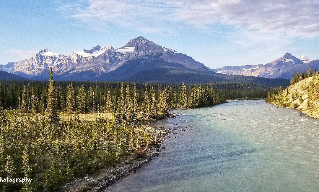 Mosquito Creek Campground
